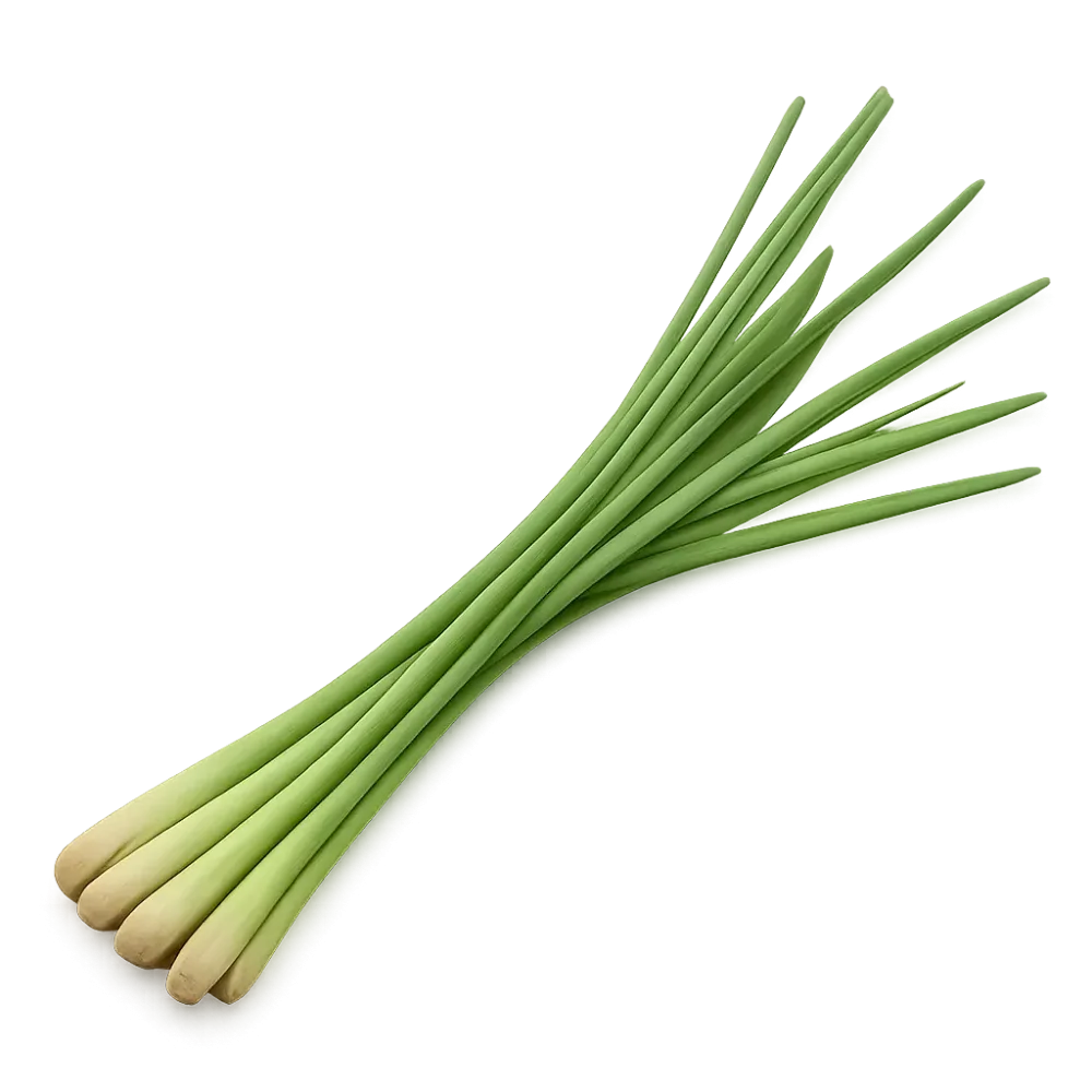 Citronová tráva